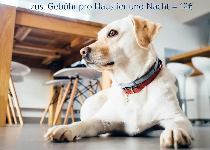 شقة Kajuetesieben *